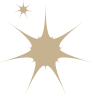 Vtechnocrat